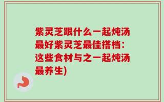 紫灵芝跟什么一起炖汤最好紫灵芝最佳搭档：这些食材与之一起炖汤最养生)
