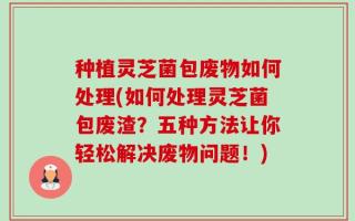 种植灵芝菌包废物如何处理(如何处理灵芝菌包废渣？五种方法让你轻松解决废物问题！)