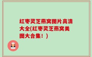 红枣灵芝燕窝图片高清大全(红枣灵芝燕窝美图大合集！)