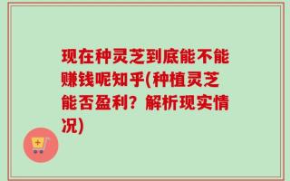 现在种灵芝到底能不能赚钱呢知乎(种植灵芝能否盈利？解析现实情况)