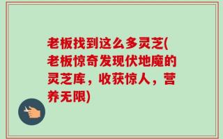 老板找到这么多灵芝(老板惊奇发现伏地魔的灵芝库，收获惊人，营养无限)