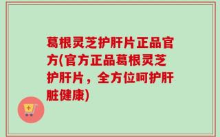 葛根灵芝护肝片正品官方(官方正品葛根灵芝护肝片，全方位呵护肝脏健康)