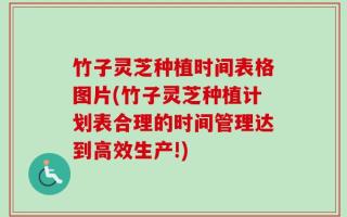 竹子灵芝种植时间表格图片(竹子灵芝种植计划表合理的时间管理达到高效生产!)
