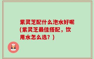 紫灵芝配什么泡水好呢(紫灵芝最佳搭配，饮用水怎么选？)