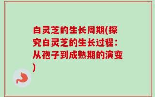 白灵芝的生长周期(探究白灵芝的生长过程：从孢子到成熟期的演变)