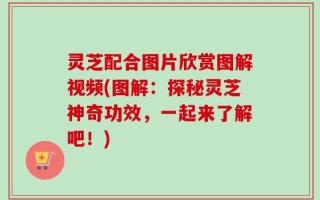 灵芝配合图片欣赏图解视频(图解：探秘灵芝神奇功效，一起来了解吧！)