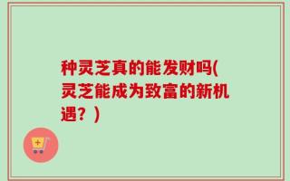 种灵芝真的能发财吗(灵芝能成为致富的新机遇？)