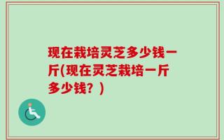现在栽培灵芝多少钱一斤(现在灵芝栽培一斤多少钱？)