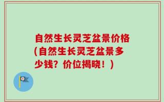 自然生长灵芝盆景价格(自然生长灵芝盆景多少钱？价位揭晓！)