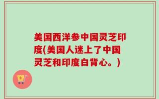 美国西洋参中国灵芝印度(美国人迷上了中国灵芝和印度白背心。)