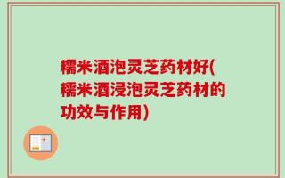 糯米酒泡灵芝药材好(糯米酒浸泡灵芝药材的功效与作用)