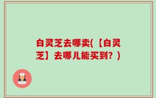 白灵芝去哪卖(【白灵芝】去哪儿能买到？)