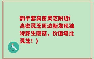 翻手套高密灵芝附近(高密灵芝周边新发现独特野生蘑菇，价值堪比灵芝！)