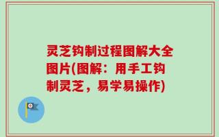 灵芝钩制过程图解大全图片(图解：用手工钩制灵芝，易学易操作)