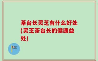 茶台长灵芝有什么好处(灵芝茶台长的健康益处)