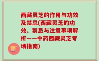 西藏灵芝的作用与功效及禁忌(西藏灵芝的功效、禁忌与注意事项解析——中药西藏灵芝考场指南)