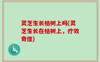 灵芝生长枯树上吗(灵芝生长在枯树上，疗效奇佳)