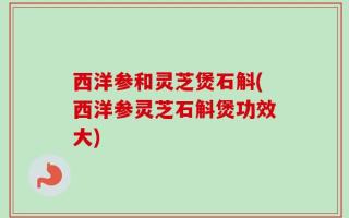西洋参和灵芝煲石斛(西洋参灵芝石斛煲功效大)