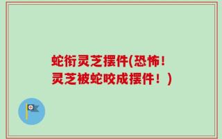蛇衔灵芝摆件(恐怖！灵芝被蛇咬成摆件！)