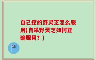 自己挖的野灵芝怎么服用(自采野灵芝如何正确服用？)