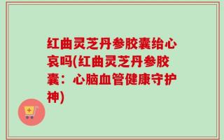 红曲灵芝丹参胶囊绐心哀吗(红曲灵芝丹参胶囊：心脑血管健康守护神)