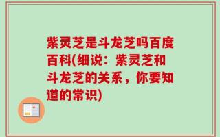 紫灵芝是斗龙芝吗百度百科(细说：紫灵芝和斗龙芝的关系，你要知道的常识)