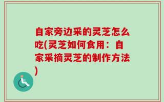 自家旁边采的灵芝怎么吃(灵芝如何食用：自家采摘灵芝的制作方法)