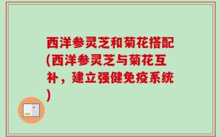 西洋参灵芝和菊花搭配(西洋参灵芝与菊花互补，建立强健免疫系统)