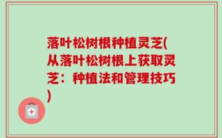 落叶松树根种植灵芝(从落叶松树根上获取灵芝：种植法和管理技巧)