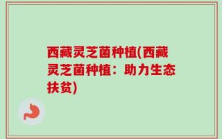 西藏灵芝菌种植(西藏灵芝菌种植：助力生态扶贫)