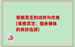 葛根灵芝的功效与作用(葛根灵芝：强身健体的良好选择)