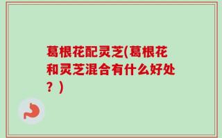 葛根花配灵芝(葛根花和灵芝混合有什么好处？)