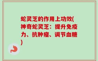 蛇灵芝的作用上功效(神奇蛇灵芝：提升免疫力、抗肿瘤、调节血糖)