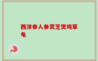 西洋参人参灵芝煲鸡草龟