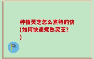 种植灵芝怎么煮熟的快(如何快速煮熟灵芝？)