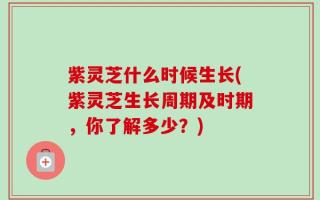 紫灵芝什么时候生长(紫灵芝生长周期及时期，你了解多少？)