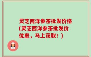 灵芝西洋参茶批发价格(灵芝西洋参茶批发价优惠，马上获取！)