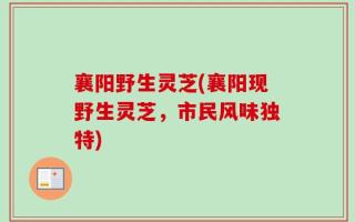襄阳野生灵芝(襄阳现野生灵芝，市民风味独特)