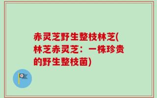 赤灵芝野生整枝林芝(林芝赤灵芝：一株珍贵的野生整枝菌)