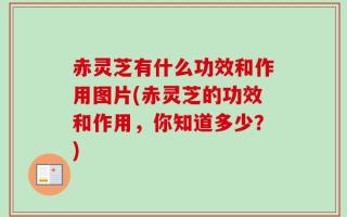 赤灵芝有什么功效和作用图片(赤灵芝的功效和作用，你知道多少？)