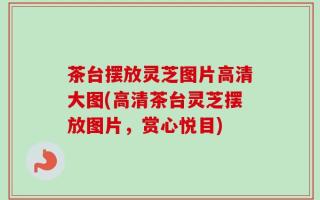 茶台摆放灵芝图片高清大图(高清茶台灵芝摆放图片，赏心悦目)