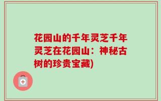 花园山的千年灵芝千年灵芝在花园山：神秘古树的珍贵宝藏)