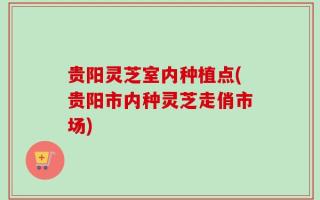 贵阳灵芝室内种植点(贵阳市内种灵芝走俏市场)
