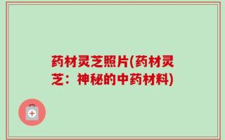 药材灵芝照片(药材灵芝：神秘的中药材料)
