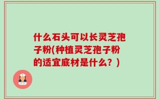 什么石头可以长灵芝孢子粉(种植灵芝孢子粉的适宜底材是什么？)