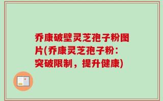 乔康破壁灵芝孢子粉图片(乔康灵芝孢子粉：突破限制，提升健康)