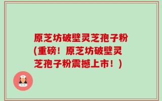原芝坊破壁灵芝孢子粉(重磅！原芝坊破壁灵芝孢子粉震撼上市！)
