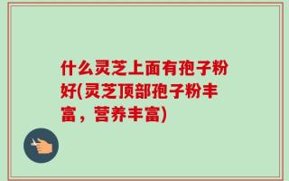 什么灵芝上面有孢子粉好(灵芝顶部孢子粉丰富，营养丰富)