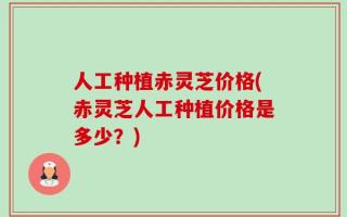 人工种植赤灵芝价格(赤灵芝人工种植价格是多少？)