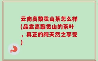 云南高黎贡山茶怎么样(品尝高黎贡山的茶叶，真正的纯天然之享受)